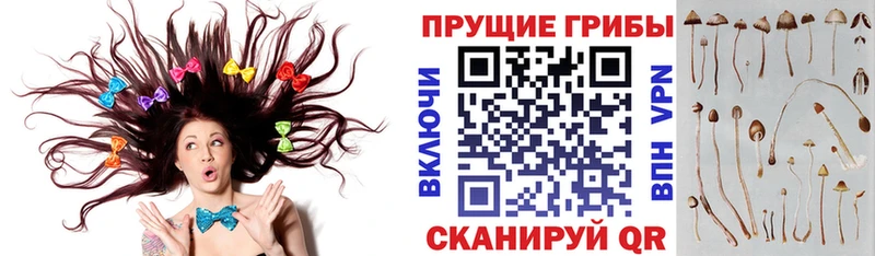 наркотики  это клад  Псилоцибиновые грибы Magic Shrooms  Ялта  МЕГА маркетплейс 
